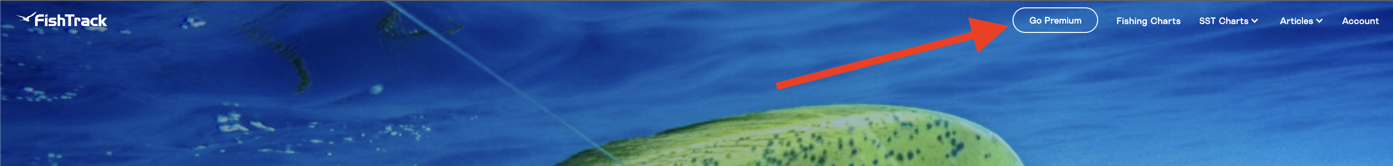 Screenshot 2023-11-29 at 14.04.29.png